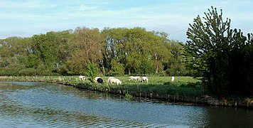 Le canal de Bourbourg.