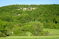 Die Graburg mit ihren Kalkklippen, Erlen, Eiben