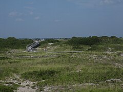 Boardwalk over the dunes