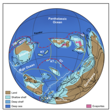 Paleogeographic map showing Gondwana close to the south pole, Siberia, North and South China near the equator and Baltica to the south of Siberia.