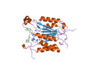 2c2z: CRYSTAL STRUCTURE OF CASPASE-8 IN COMPLEX WITH AZA-PEPTIDE MICHAEL ACCEPTOR INHIBITOR