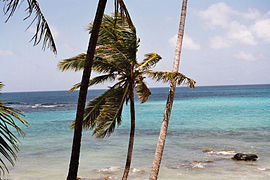 Corn Island