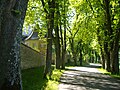 Teilansicht der Schlossallee und -mauer