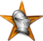 Defender of the Wiki Barnstar