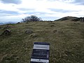 Mégalithe sur le mont Bianditz