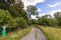 Blick in das Gebiet, Weg durch das Naturschutzgebiet (Südwestlicher Bereich)