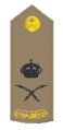 général de division (arabe : لواء)