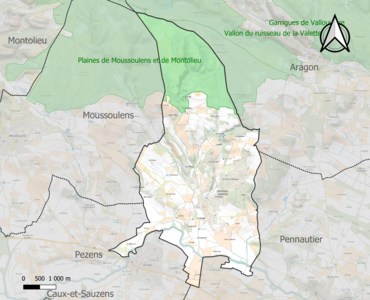 Carte de la ZNIEFF de type 1 sur la commune.