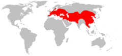 Mapa de distribución de E. serotinus