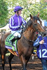 Vignette pour Highland Reel