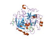 2c8w: THROMBIN INHIBITORS