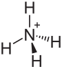 The ammonium cation