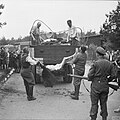 Former camp guards are forced to load the bodies of dead prisoners onto a truck for burial, April 17–18, 1945