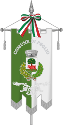 Drapeau de Peglio