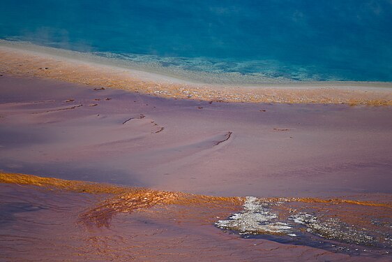 Pastel-colored rim of geyser "Prismatic Spring" in Yellowstone National Park, Wyoming, USA