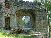 Castell de Gaujiena