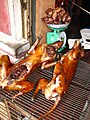 Mbwa choma (Hanoi - Vietnam)