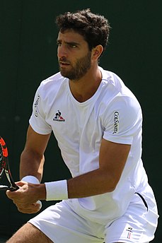 Robert Farah dublu masculin