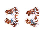 1y3a​: Struktura G-alfa-I1 vezan za GDP-selektivni peptid daje uvid u guanin nukleotidnu razmenu