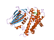 2bu5: CRYSTAL STRUCTURES OF HUMAN PYRUVATE DEHYDROGENASE KINASE 2 CONTAINING PHYSIOLOGICAL AND SYNTHETIC LIGANDS