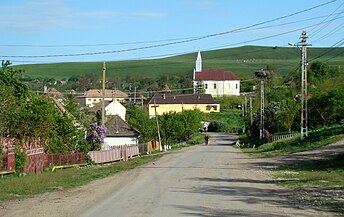 Cătina