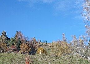 Dealul Negru, numit de localnici (Dealul Hozunii), vedere de sus