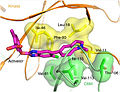 Structure of full-length AMPK complex with activator