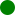 Zecchino verde