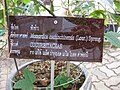 Panneau descriptif en thaï, au Jardin botanique de la reine Sirikit, en Thaïlande.