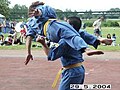 Biểu diễn Vovinam tại Đức