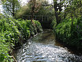 Mill Bourne west stretch by the Village Mill