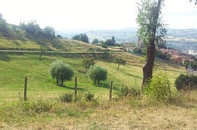 Saint-Martin-en-Coailleux