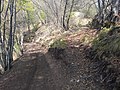 Monte Denai, località Cochèta a 1.135 s.l.m., bivio del sentiero, a destra per la Costa di Romario, a sinistra per la Valle della Tràa