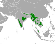 Bản đồ phạm vi phân bố