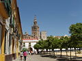 The Giralda from the Patio de Banderas of the Alcázar