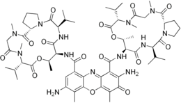 Image illustrative de l’article 7-Aminoactinomycine D