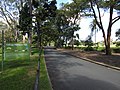 World War I 'Avenue of Honour' and sporting fields (2021).