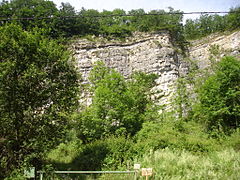 Plissements de l'anticlinal de Lavelanet.