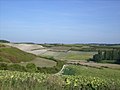 Paysage vallonné près de Chenac