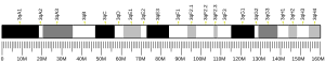 Chromosome 3 (mouse)