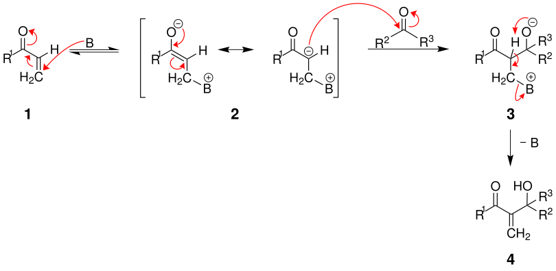 Mechanismus der Baylis-Hillman-Reaktion