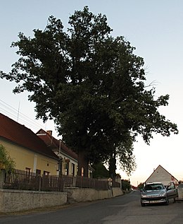 Bezdědovice - Sœmeanza