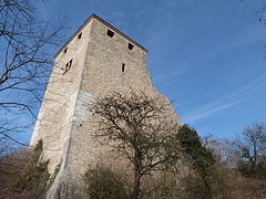 Château de Saint-Denis-en-Bugey.