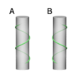 A: desnosučna, B: levosučna vijačnica