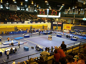 2008 Mid-American Conference Gymnastics Championship