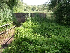 Observatoire dans la RNR de l'Etang de Haute-Jarrie