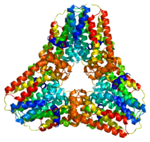 Protein GGPS1 PDB 2fvi.png