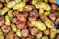 Image 6Ulluco: Common crop of the Andean region (from Andean agriculture)