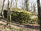 Tumulus von Barbirey-sur-Ouche – La Table du Druide