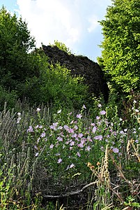 Ruins of the Jdioara Fortress